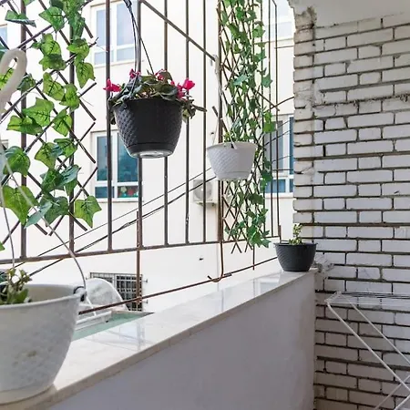 Tranquillity Apartment Tirana